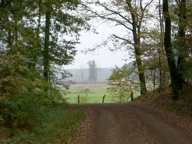 CTF Celle Strecke 040